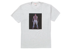 Supreme Tupac Hologram Tee Ash Grey