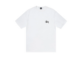 Stussy Ice Melted T-Shirt - White