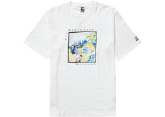 Supreme x The North Face Sketch T-Shirt - White (SS22)