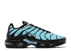 Air Max Plus Aqua Silver