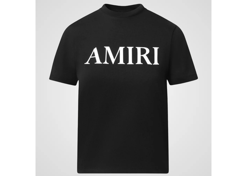 Amiri Core Logo T-Shirt, Black